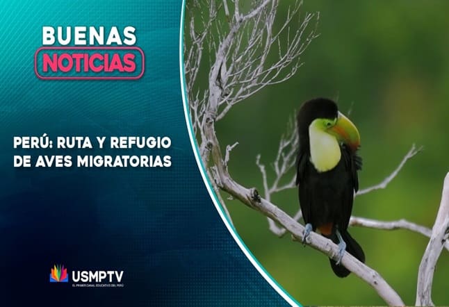PERÚ, RUTA Y REFUGIO DE AVES MIGRATORIAS